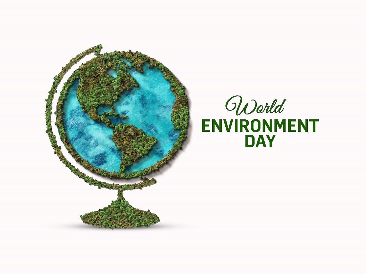 World Environment Day 2022: LAKSHYA OVERSEAS 